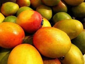african mangoの果実