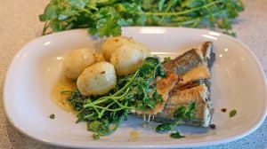 1.野菜と一緒にお皿に盛られた魚