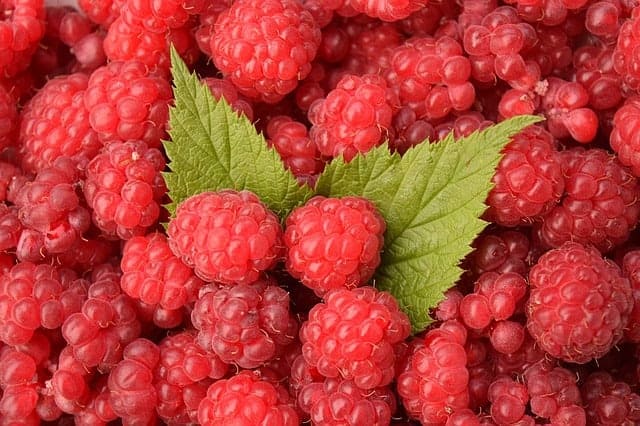 raspberries 1476204 640