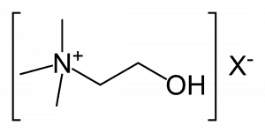 コリン化合物