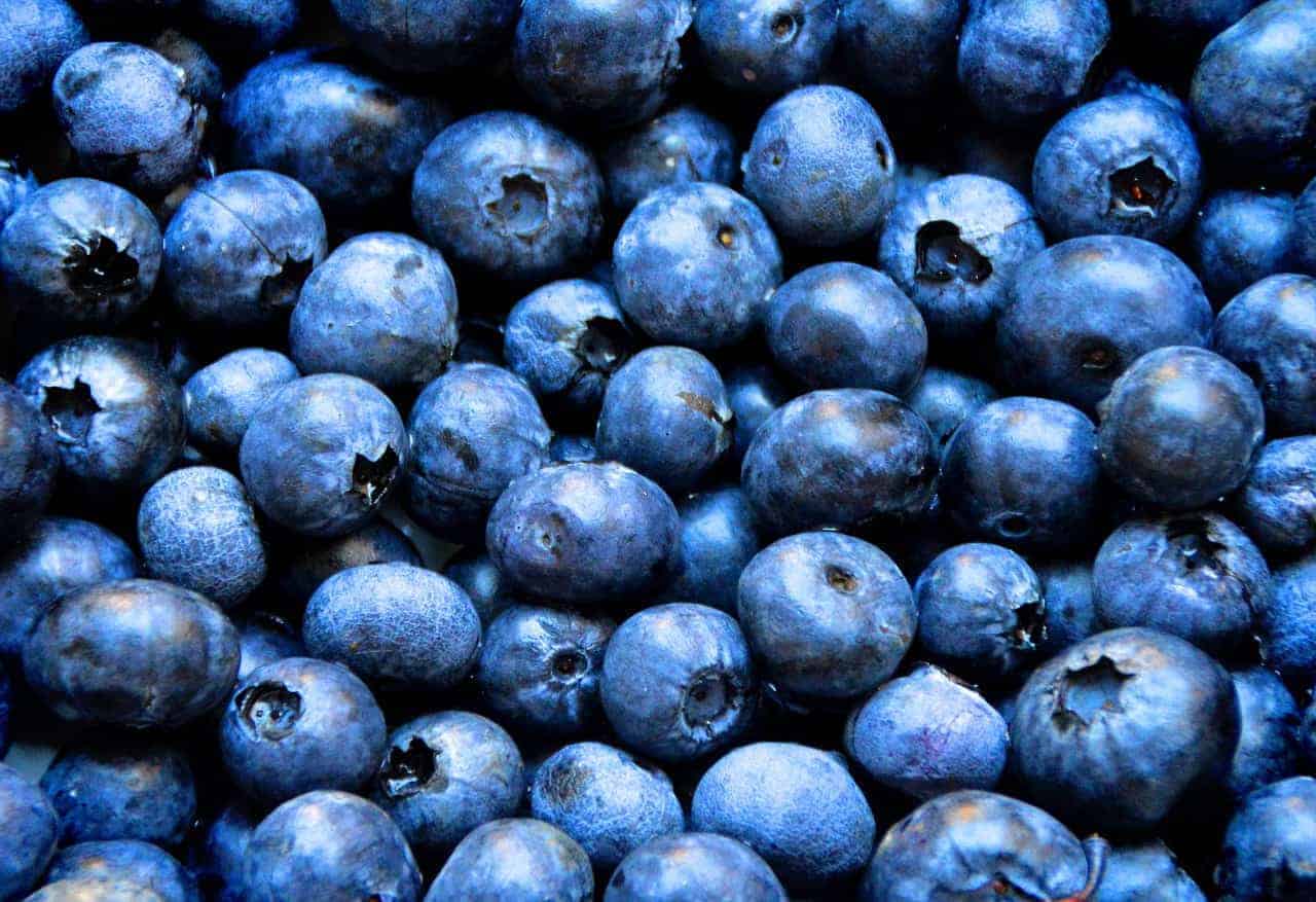 blueberries 1593965 1280