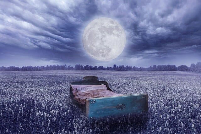 夢の現実-草原のベッド、満月